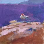 Wounded Gull, 12x12" SOLD